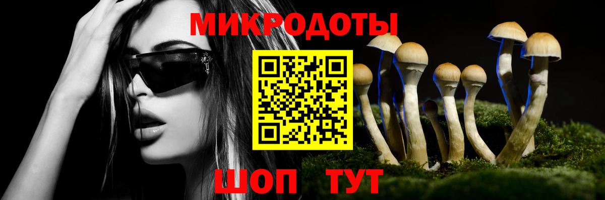 Псилоцибиновые грибы MAGIC MUSHROOMS  Псилоцибиновые грибы Magic Shrooms  Михайловка  Вход с VPN 