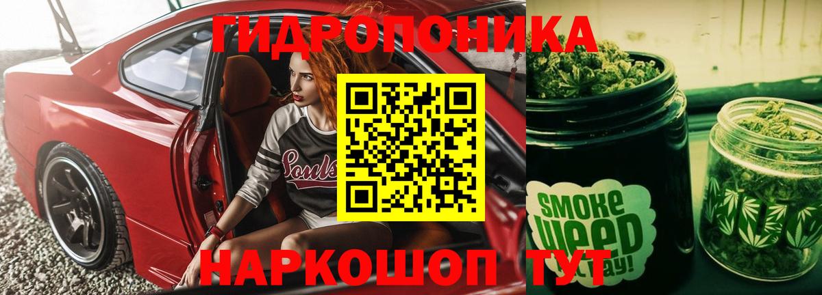 Шишки марихуана сатива Михайловка